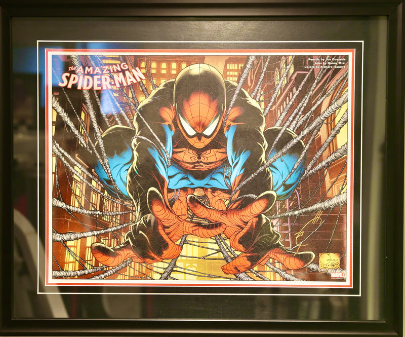 Spider-Man - Quesada sig.