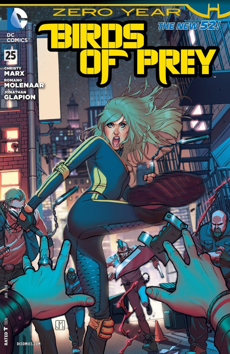 Birds of Prey #25 (2013)