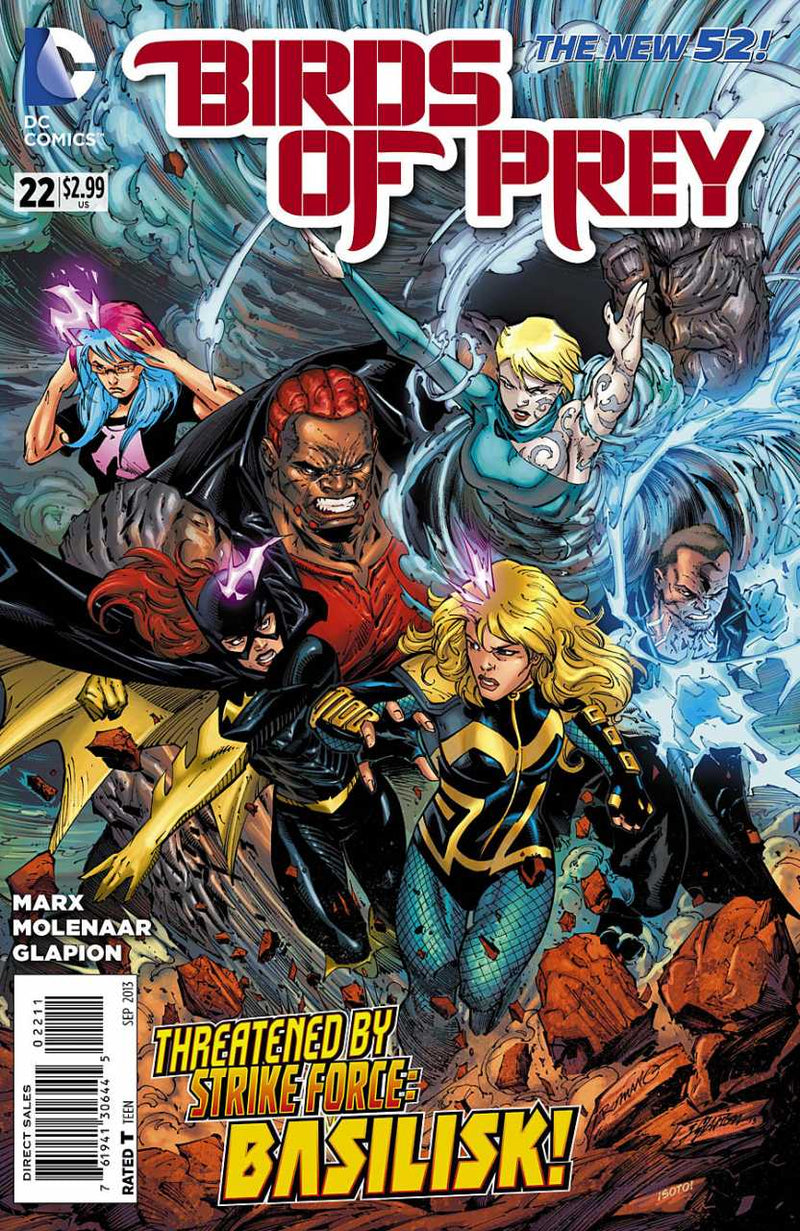 Birds of Prey #22 (2013)