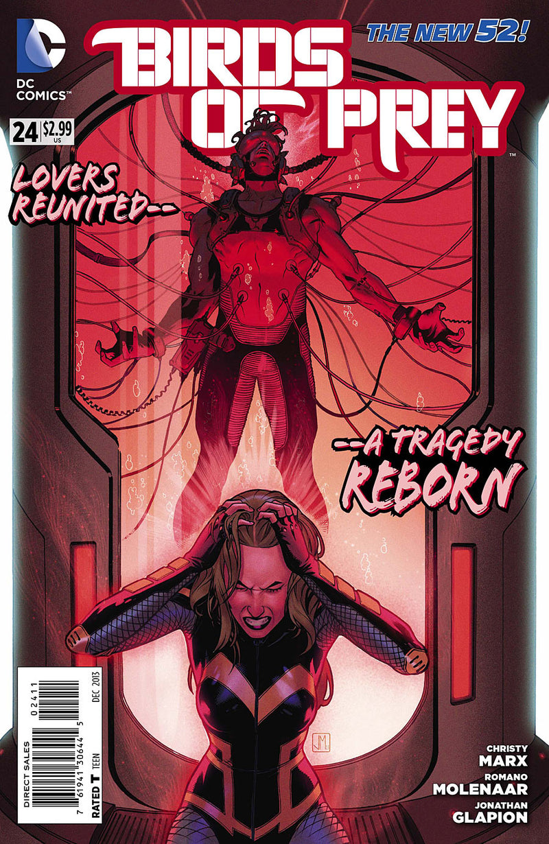 Birds of Prey #24 (2013)